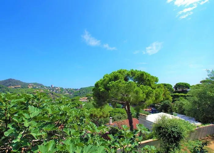 Vakantiehuis V&v Lloret- Suecia *